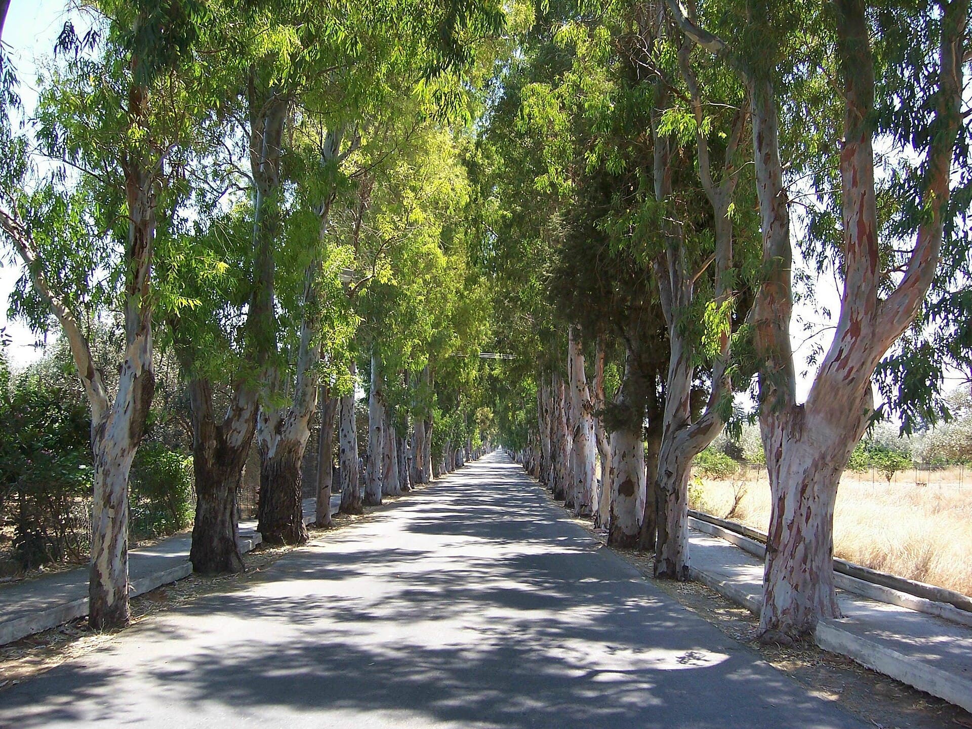 Rhodes Airport to Kolymbia: Taxi, Transfer and Bus Options (2026)